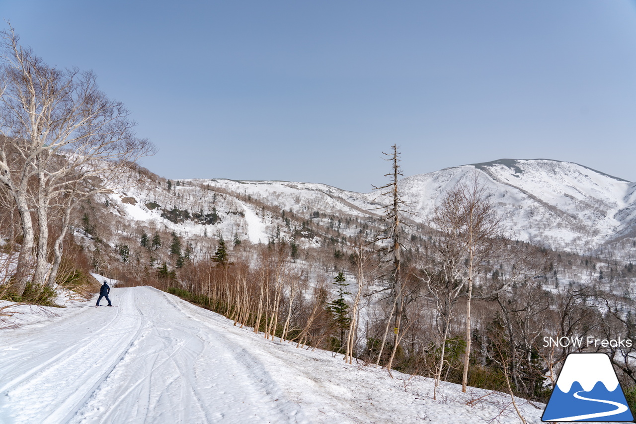 キロロリゾート｜初夏の陽気に耐えて、何とかGWまで持ってくれたキロロの雪…。さぁ、キロロゴンドラに乗って、山頂から山麓まで続く全長4,000ｍ超のロングランを楽しみましょう！